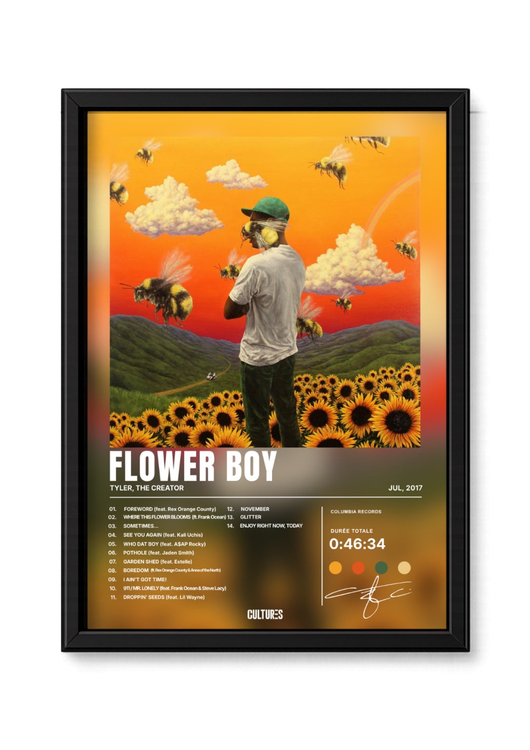 Cadre Tyler, The Creator Flower Boy – fond image