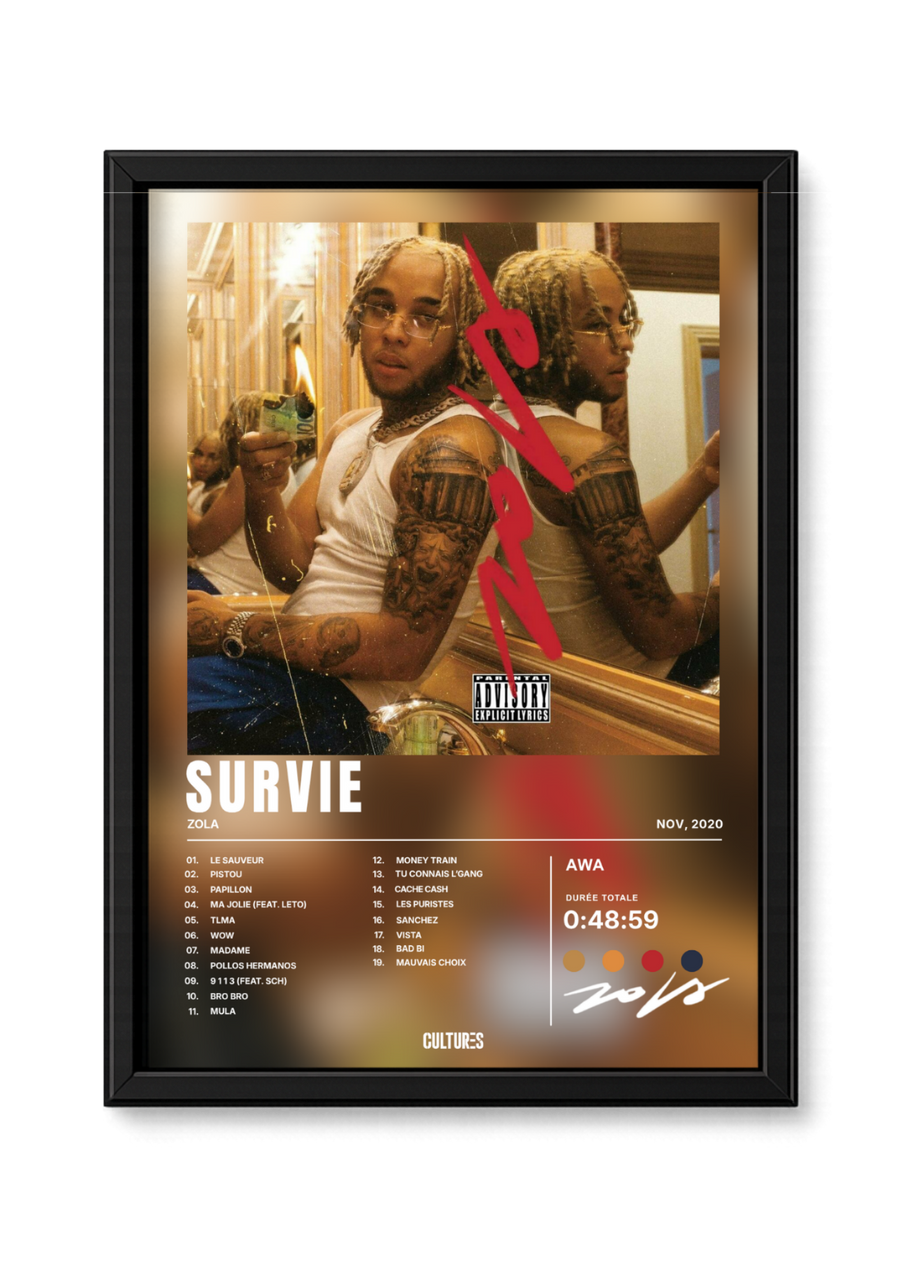Cadre Zola Survie – fond image